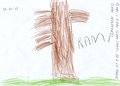 24 La Festa degli Alberi - La parola all'albero