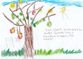 26 La Festa degli Alberi - La parola all'albero